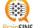 brainsins brainsins